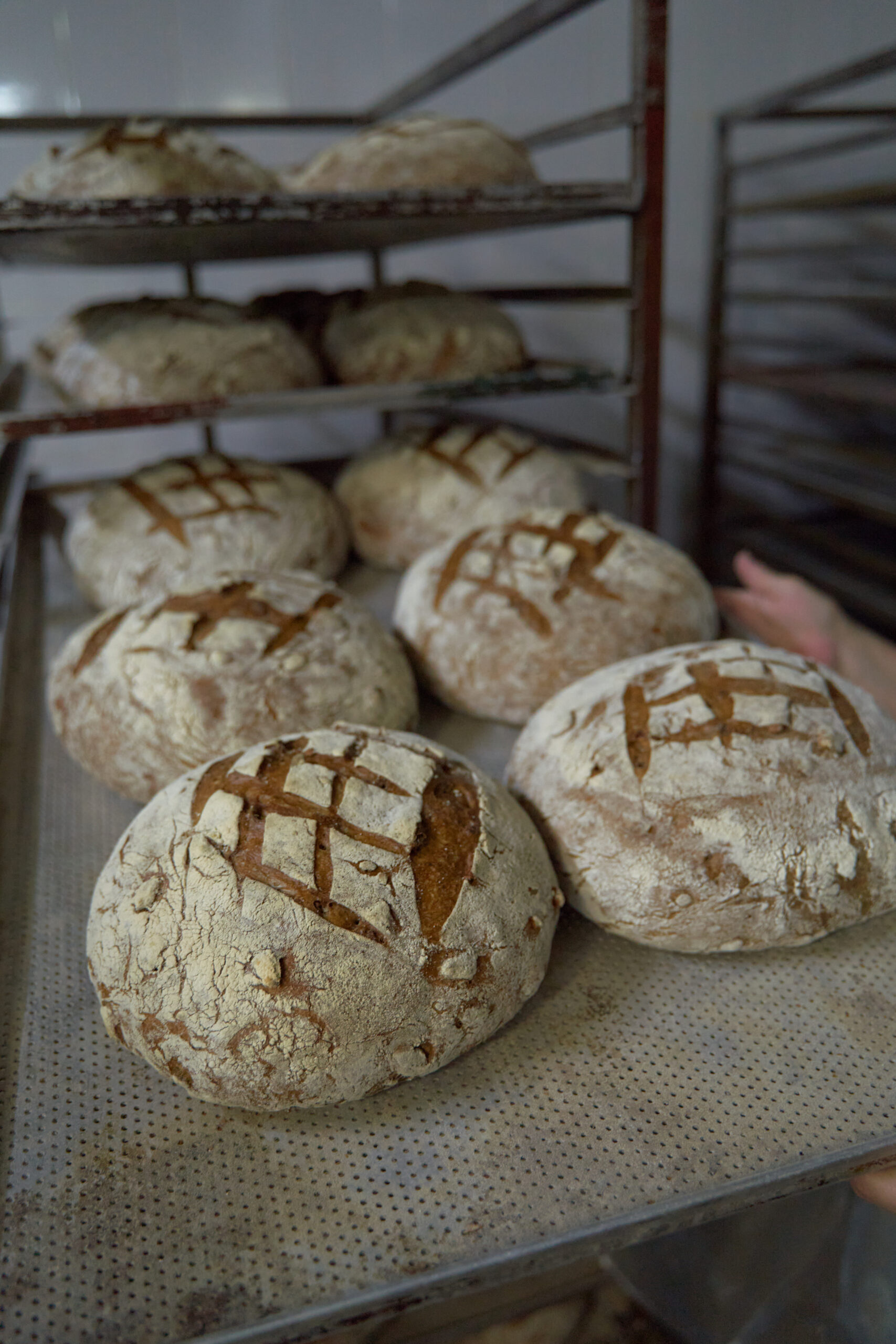 Подовый хлеб — всему голова!